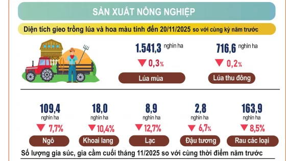 tinh-hinh-kinh-te-xa-hoi-11-thang