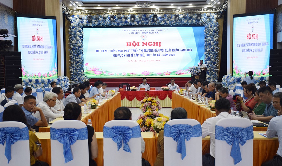 Quang_cnh_hi_ngh.jpg