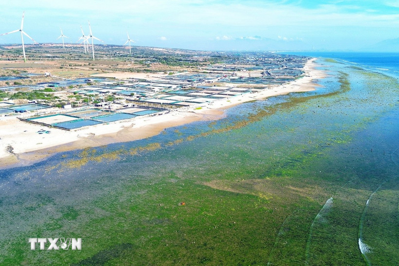 nghi-dinh-moi-ve-ppp-chuan-hoa-thu-tuc-tang-phan-cap-quyet-dinh-dau-tu