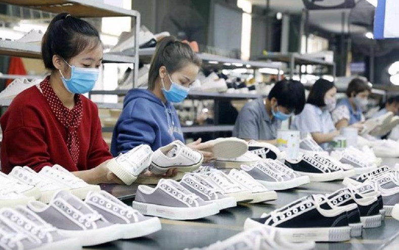 Hỗ trợ doanh nghiệp, hợp tác xã, hộ kinh doanh tận dụng các FTA để xuất khẩu