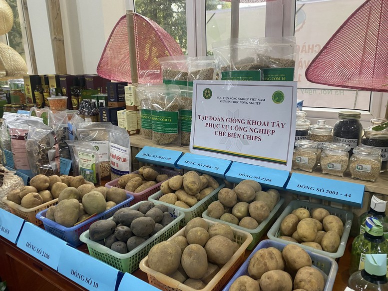 dua-nong-san-bay-xa-bang-con-duong-ngoai-giao