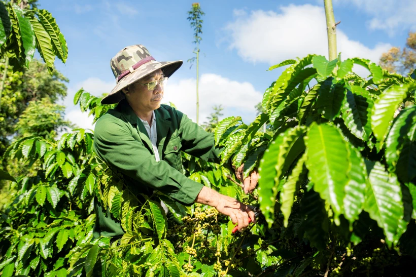 tong-dieu-tra-nong-thon-nong-nghiep-2025-dien-ra-tren-ca-nuoc-tu-ngay-17