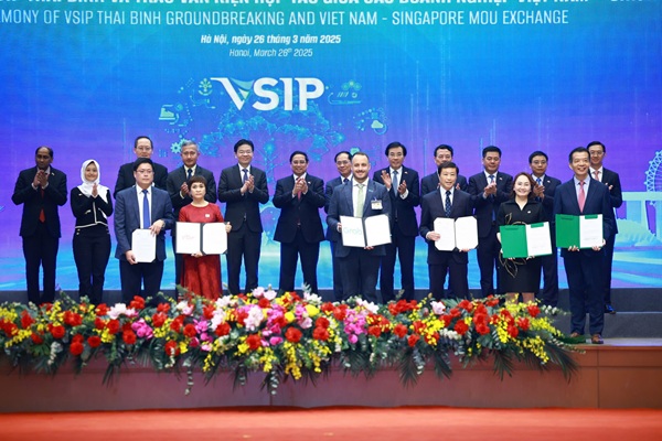 SBT5.jpg