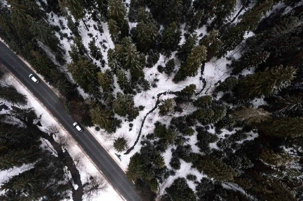 Hơn 150 quốc gia 'gióng hồi chuông' cảnh báo: Nỗi 'ám ảnh' về tăng trưởng đang hủy hoại đa dạng sinh học