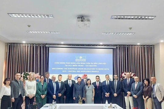 vcci-mien-trung-tay-nguyen-lam-viec-voi-phai-doan-lien-minh-chau-au