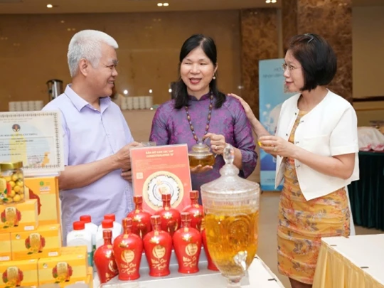 Kiến nghị ba nhóm chính sách kết nối hợp tác xã - doanh nghiệp nhỏ và vừa