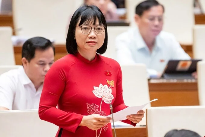 dai-bieu-quoc-hoi-canh-bao-hon-600-doanh-nghiep-ma-xuat-tren-1-trieu-hoa-don-khong