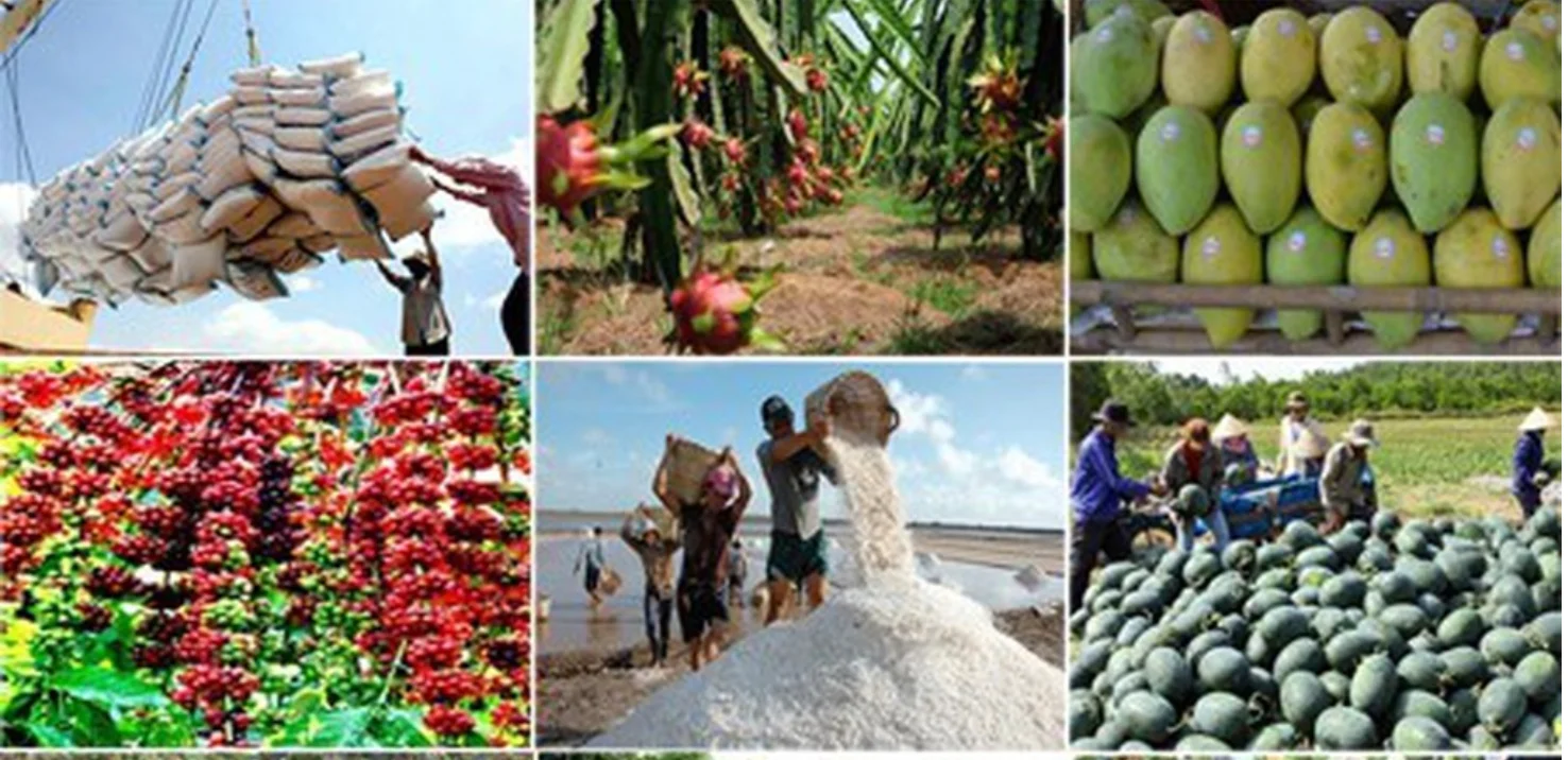 90-ngay-hoan-thue-khoang-tho-ngan-trong-toan-tinh-dai-cua-nganh-nong-san