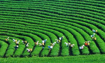 gop-y-du-thao-van-kien-dai-hoi-xiv-doi-moi-mo-hinh-tang-truong-phat-trien-kinh-te-xanh