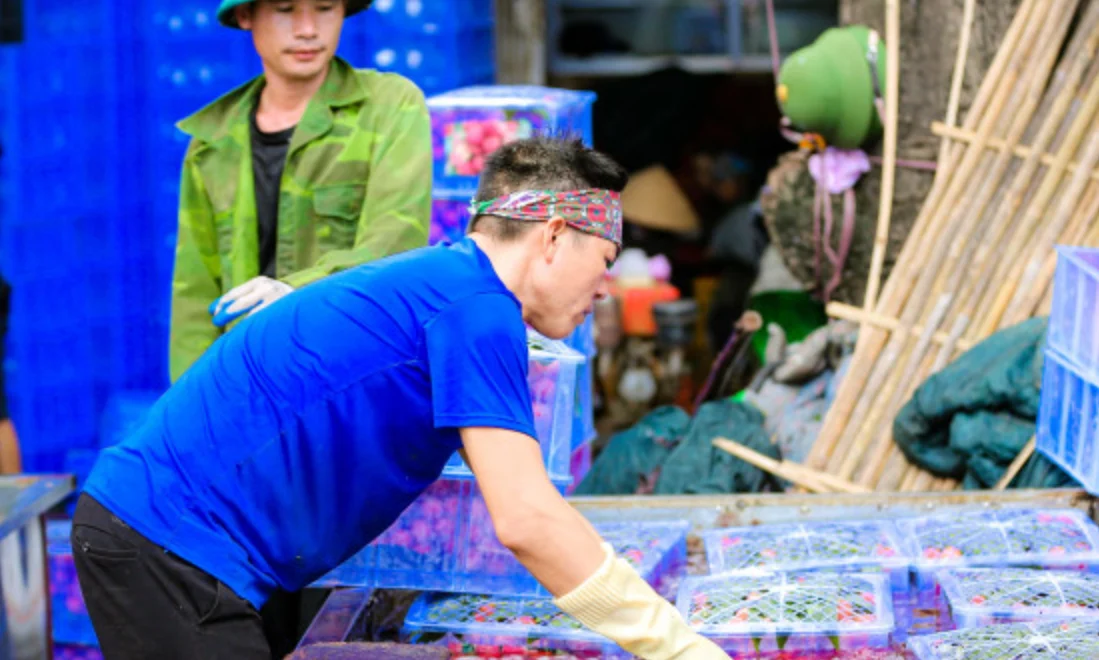 khau-tru-thue-tncn-10-gay-kho-khan-ap-luc-dong-tien-cho-lao-dong-thoi-vu-thu-nhap-thap