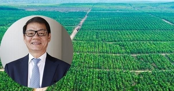 THACO AGRI của ông Trần Bá Dương muốn rót 12.300 tỷ đồng để trồng sâm