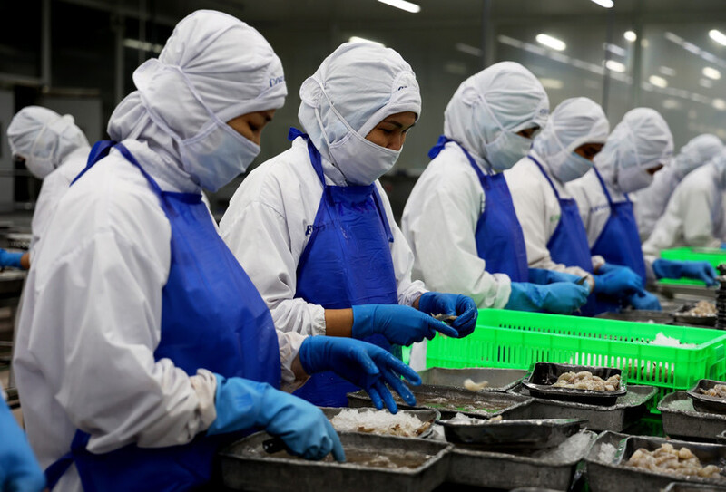 eu-siet-tieu-chuan-bao-bi-doanh-nghiep-doi-mat-ap-luc-chuyen-doi