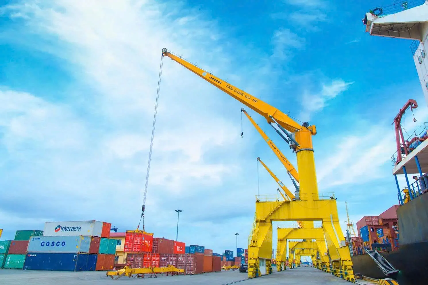 tan-cang-logistics-loi-nhuan-tang-chia-co-tuc-25-nhung-co-phieu-giao-dich-tram-lang