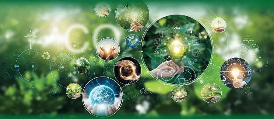 viec-lam-xanh-xu-huong-trong-nen-kinh-te-ben-vung