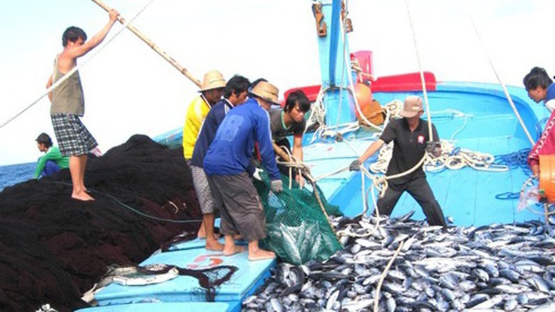 ke-hoach-khac-phuc-khuyen-nghi-cua-ec-ve-chong-khai-thac-iuu