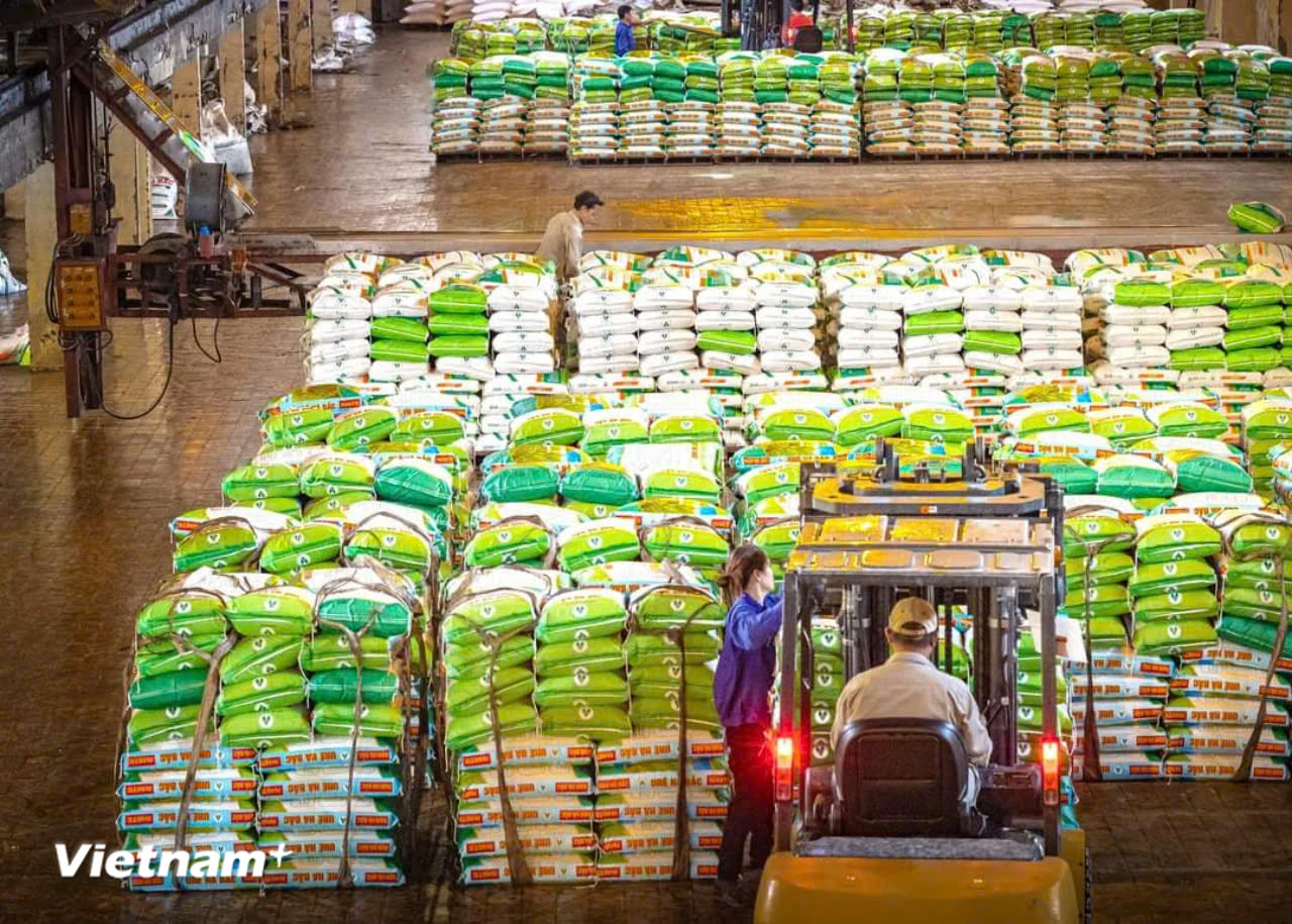 ap-thue-gtgt-5-cho-phan-bon-go-roi-cho-thi-truong-nang-tam-cho-nong-nghiep