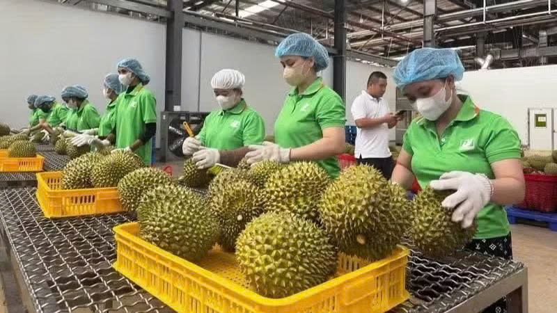 Hình thành “hộ chiếu số” cho nông sản Việt