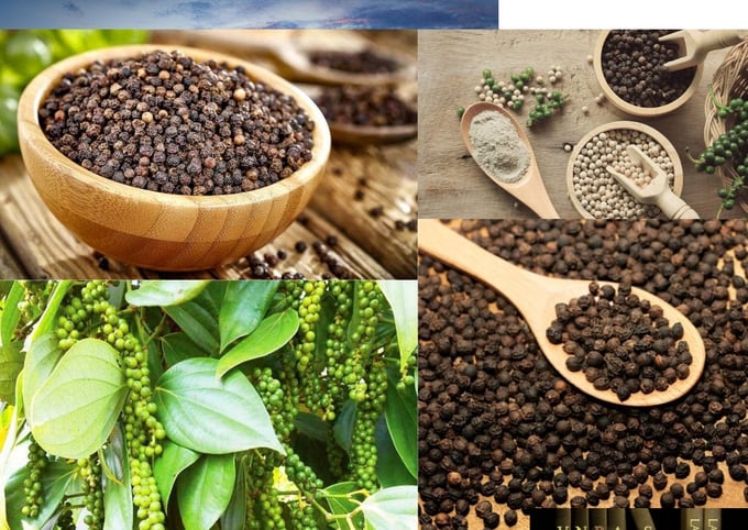 hiep-hoi-ho-tieu-kien-nghi-bo-thue-vat-vi-thu-chi-55-ty-hoan-den-2135-ty-dong