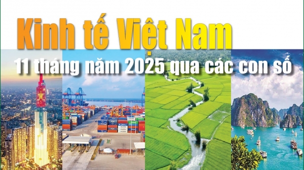 infographics-nhung-diem-sang-kinh-te-viet-nam-11-thang-nam-2025-qua-cac-con-so