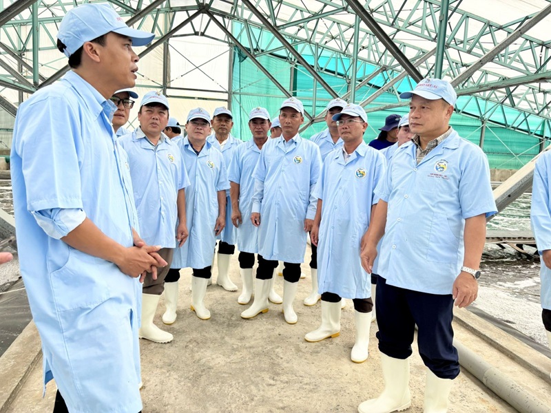Gia Lai hỗ trợ 100% tiền thuê lại đất trong 5 năm đối với một số doanh nghiệp