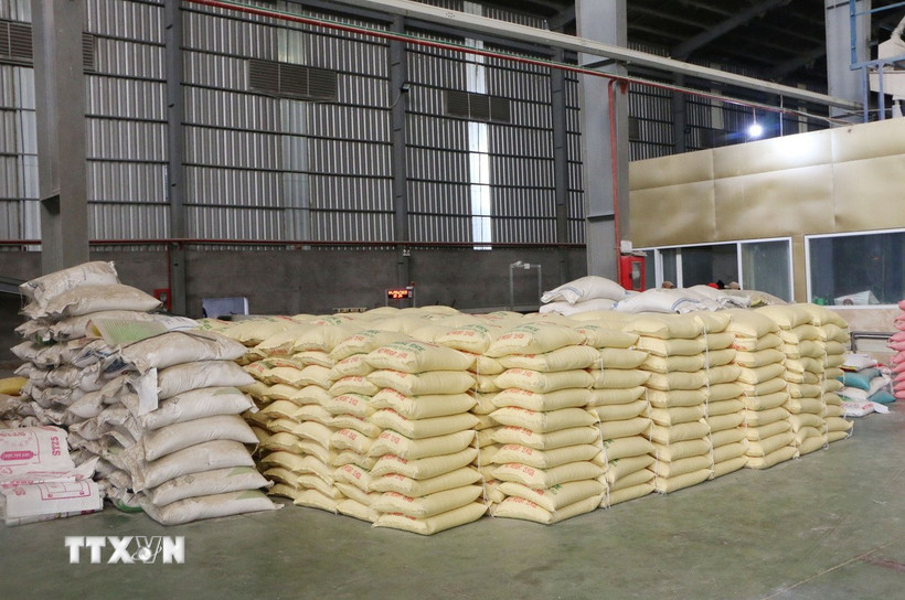 gao-mat-hang-xuat-khau-nhieu-tiem-nang-cua-viet-nam-tai-thi-truong-singapore