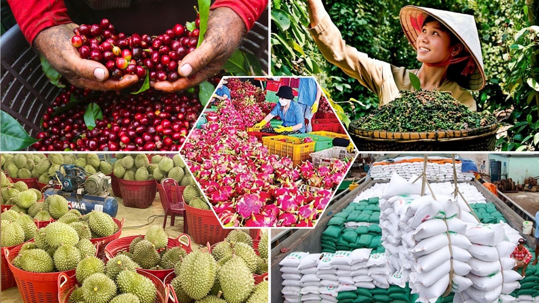 de-nganh-nong-san-viet-nam-but-pha-trong-nam-2026