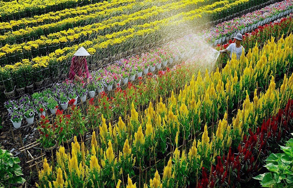 Đồng Tháp bảo tồn nghề truyền thống gắn phát triển du lịch nông nghiệp, làng nghề