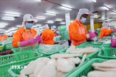 tuyen-bo-chung-viet-nam-va-hoa-ky-cung-co-vi-the-trong-chuoi-cung-ung-toan-cau