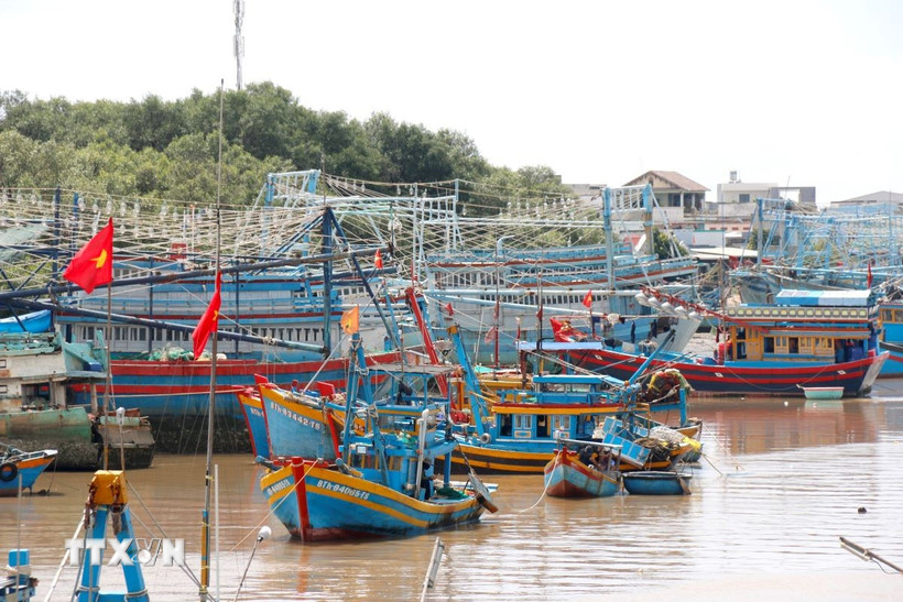 khanh-hoa-trien-khai-nhieu-giai-phap-nang-cao-trach-nhiem-chong-khai-thac-iuu