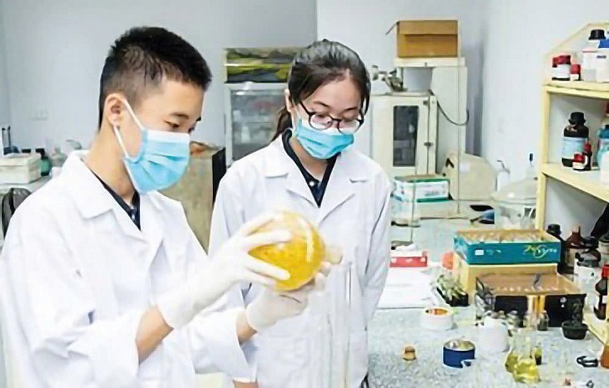 Hoàn thiện khung pháp lý để tăng chi cho khoa học công nghệ, đổi mới sáng tạo