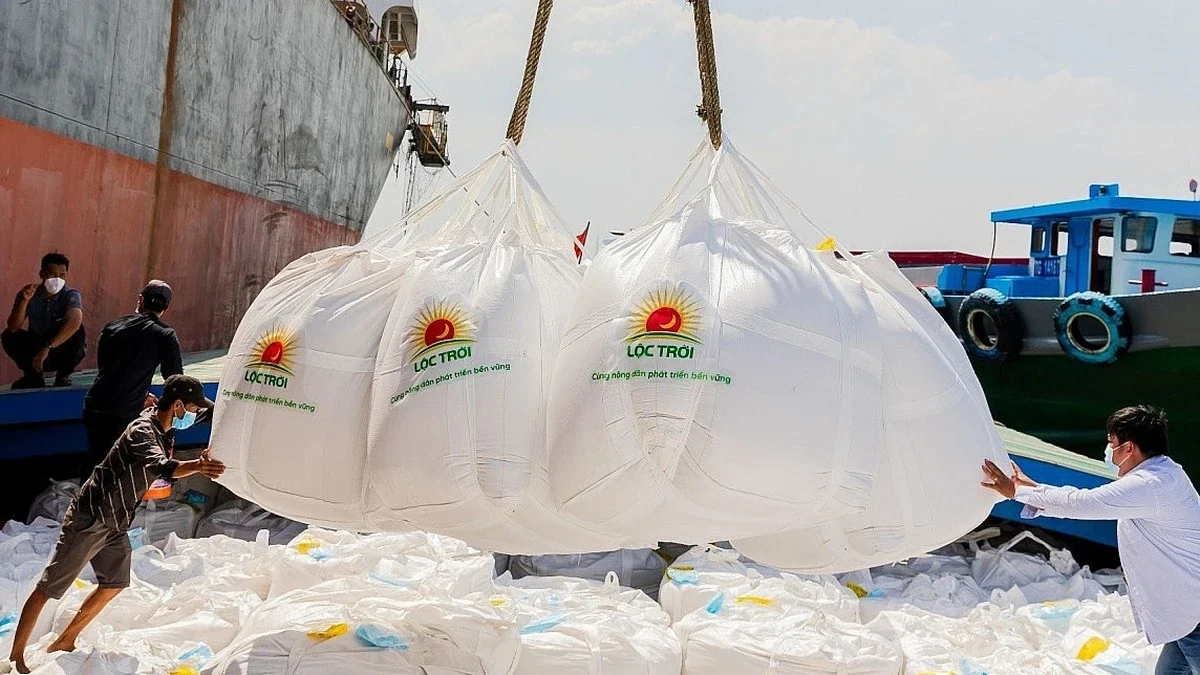 con-bi-cuc-cua-doanh-nghiep-nganh-gao