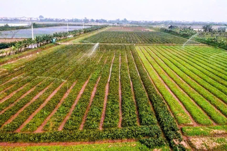 Hà Nội: Xây dựng dữ liệu đất đai đi trước một bước, tạo nền tảng quản trị hiện đại