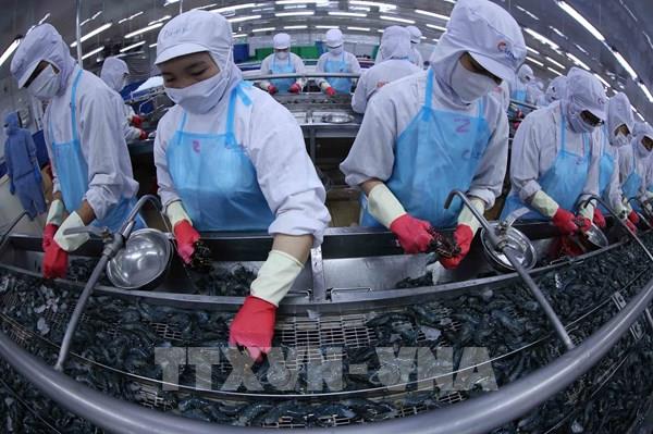 lay-noi-luc-la-nen-tang