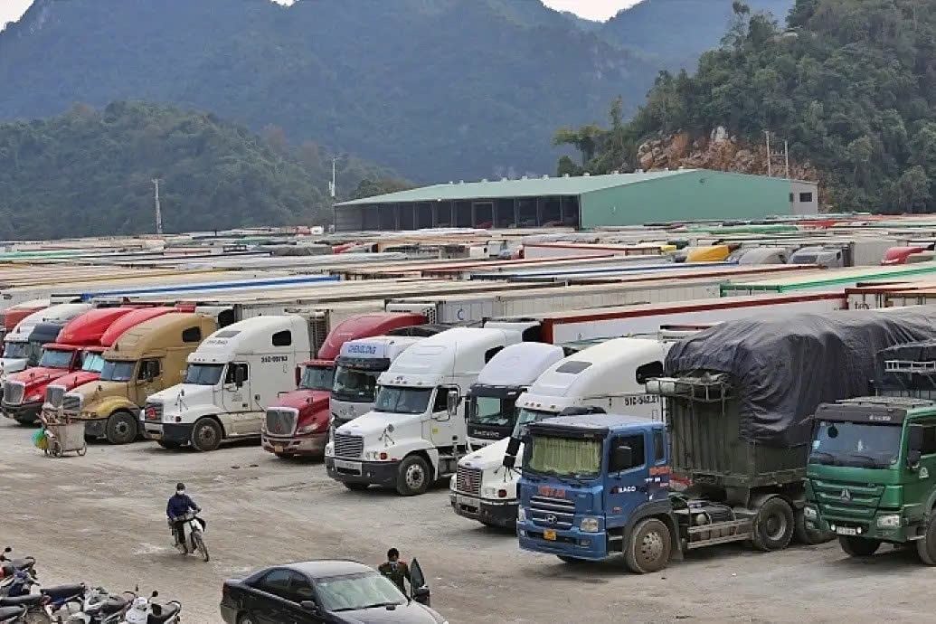 uy-ban-thuong-vu-quoc-hoi-de-nghi-danh-gia-sau-hon-tac-dong-cua-nghi-dinh-46