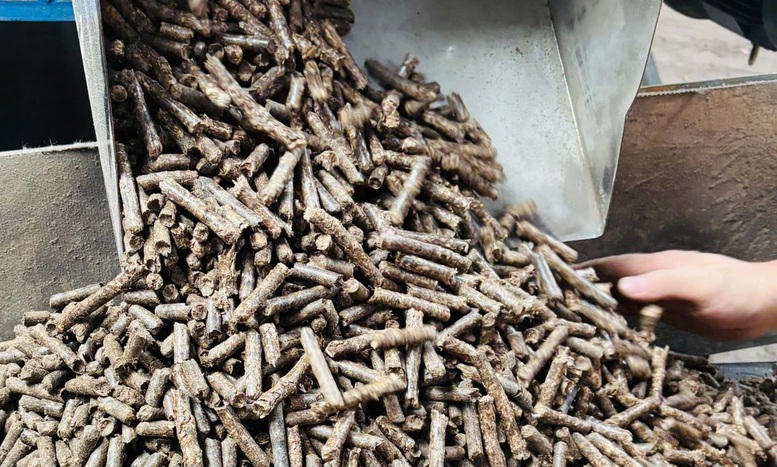 vien-nen-go-chuan-hoa-san-xuat-de-dap-ung-nhu-cau-thi-truong