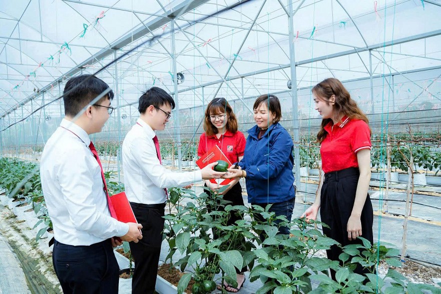 agribank-xanh-hoa-dong-von-tin-dung-huong-toi-net-zero