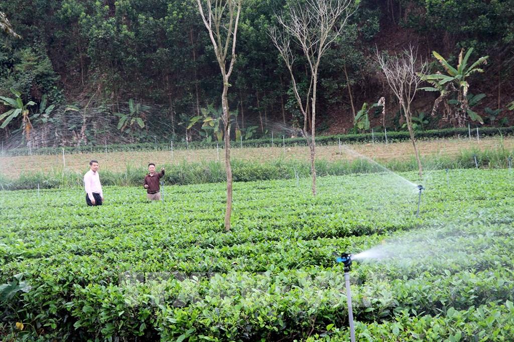 tro-luc-tin-dung-tai-vung-kho