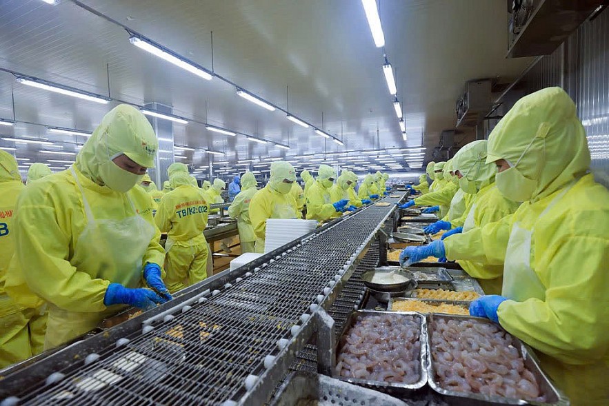 chu-dong-ung-pho-rui-ro-de-giu-nhip-tang-truong