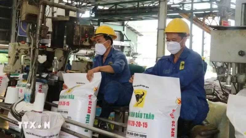 chinh-sach-thue-phan-bon-can-theo-kip-thi-truong-de-khong-bo-lo-co-hoi-xuat-khau