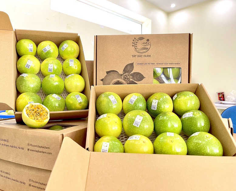 nganh-rau-qua-chung-tay-dua-xuat-khau-dat-10-ty-usd