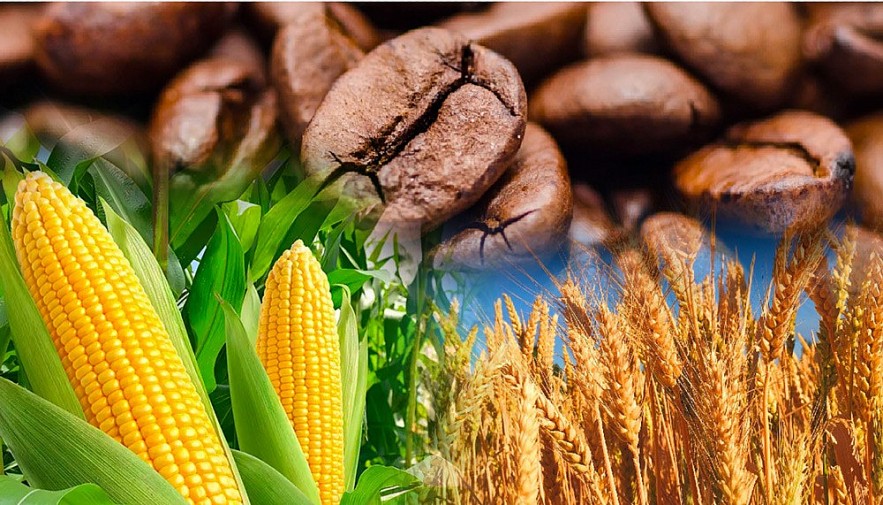 Thị trường hàng hóa: Giá cả hàng hóa nguyên liệu trên thế giới biến động mạnh