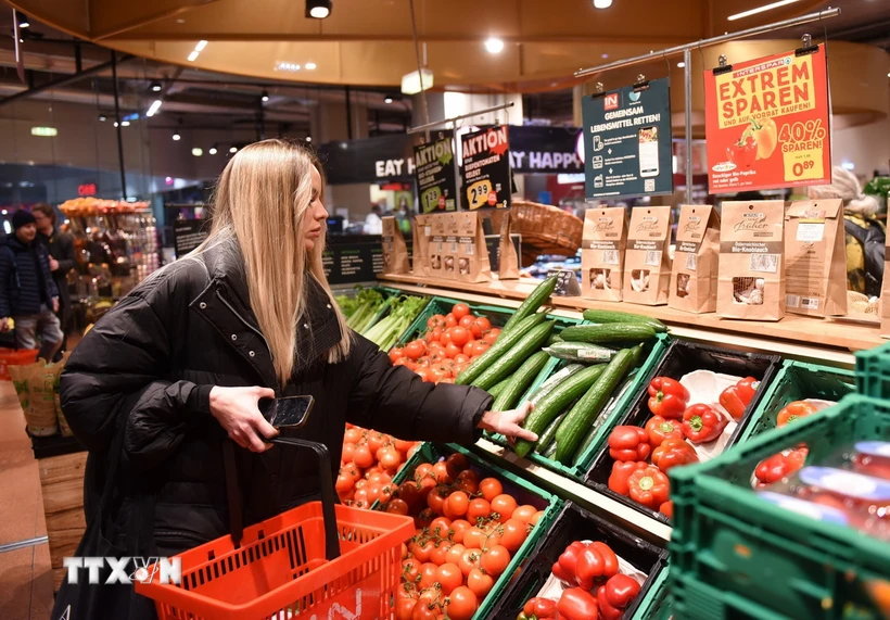 kinh-te-eurozone-chat-vat-voi-cac-con-gio-nguoc