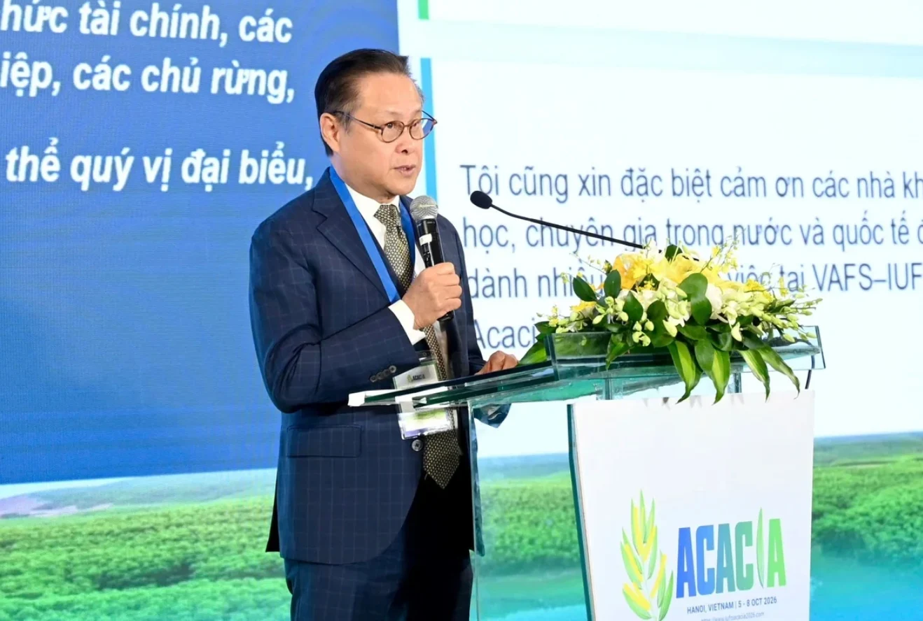 25-trieu-ha-rung-keo-quyet-dinh-suc-canh-tranh-cua-nganh-go-viet-nam