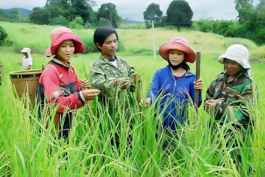 Đề xuất loạt cơ chế mới thực hiện Chương trình mục tiêu quốc gia 2026 - 2035