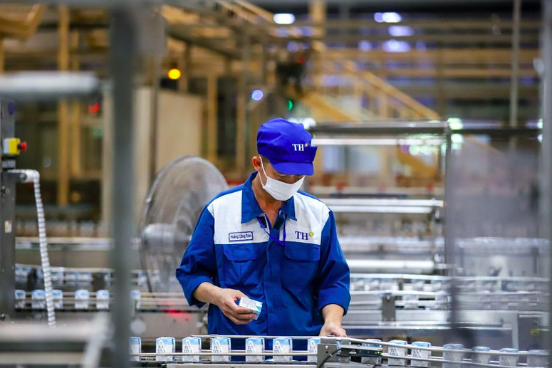 Định hướng tầm nhìn dài hạn cho ngành sữa Việt Nam