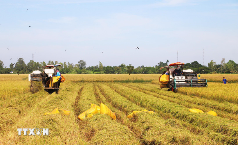 dai-hoi-xiv-cua-dang-nen-tang-moi-cho-dong-luc-tang-truong-xanh