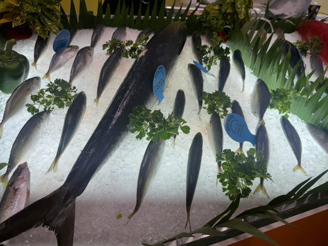 thuy-san-viet-nam-mo-rong-co-hoi-tai-thi-truong-dai-loan