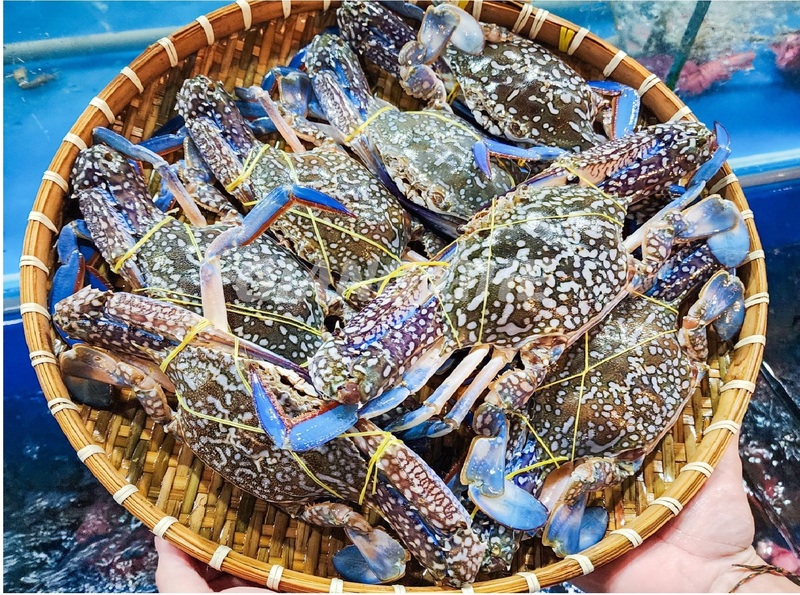 xuat-khau-ghe-viet-nam-can-chuyen-huong-sang-thi-truong-eu-va-cptpp