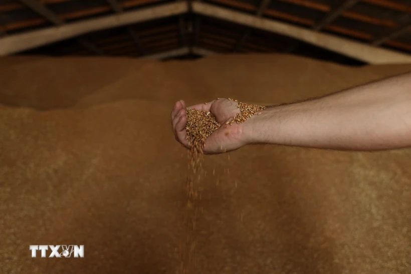 thi-truong-hang-hoa-the-gioi-chua-thoat-khoi-sac-do