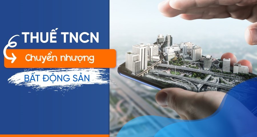 tncn bd.jpg